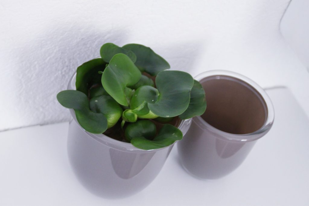 ordentliches Schlafzimmer