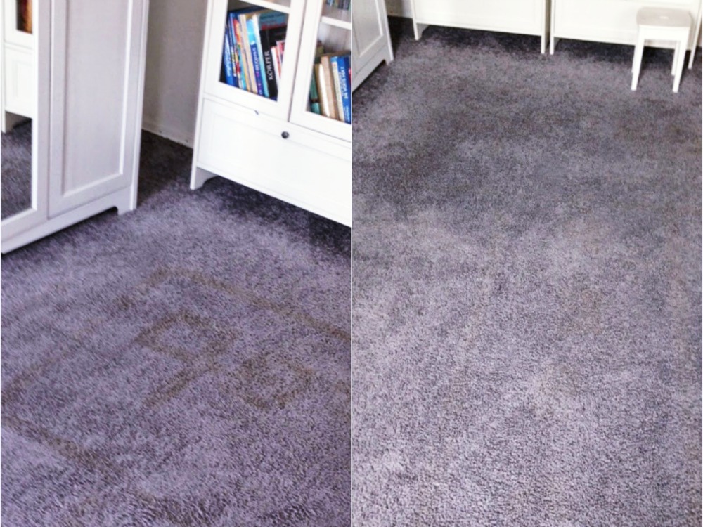 Teppichreinigung für Fortgeschrittene oder was sonst so bei uns los ist