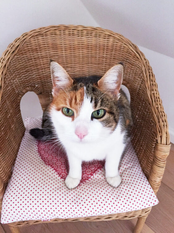 Fruehjahrsputz Schlafzimmer Kopie