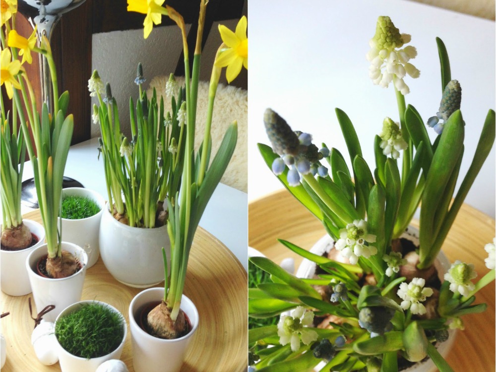 Frühjahrsputz im Wohnzimmer