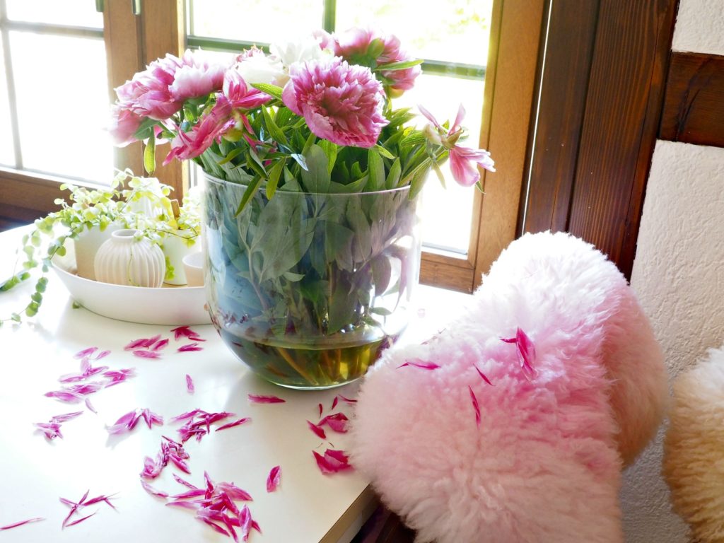 Koenic Akku-Staubsauger