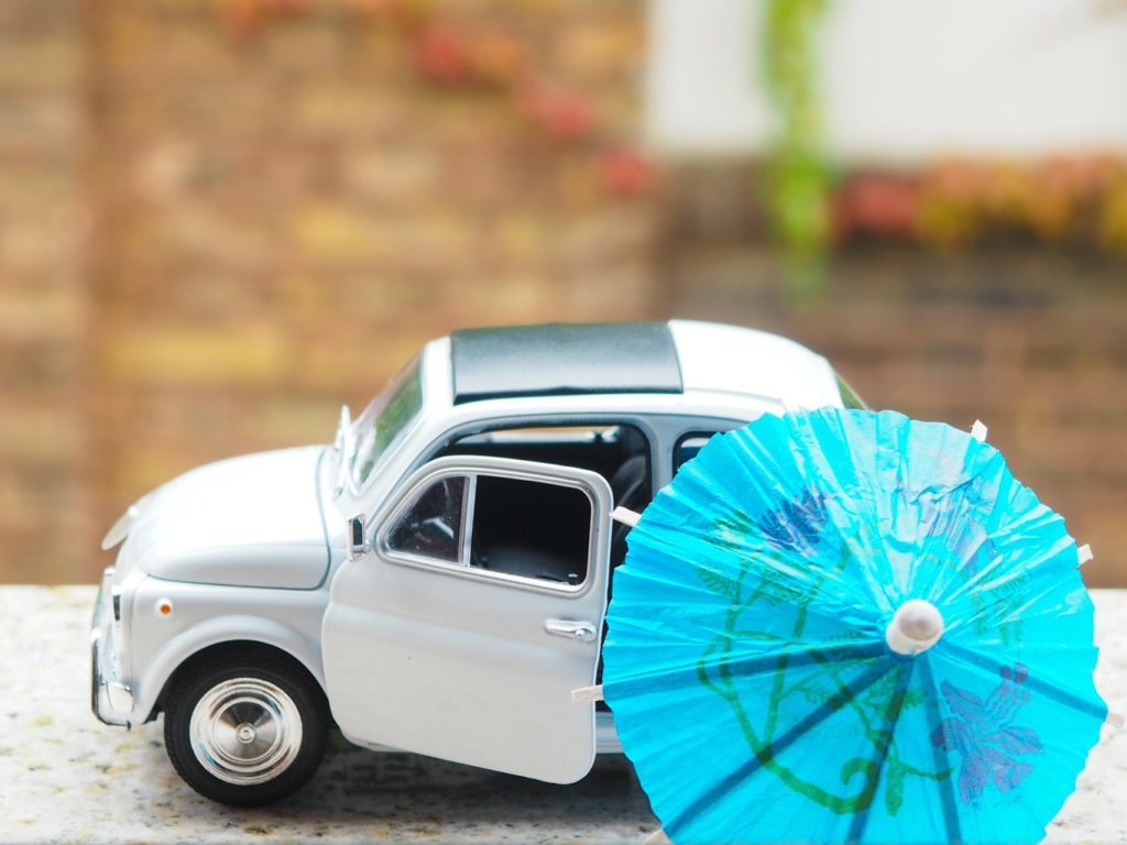 Michelin Insektenentferner