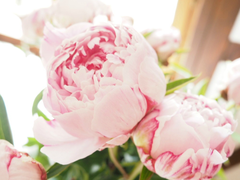 Lebenszeichen von mir