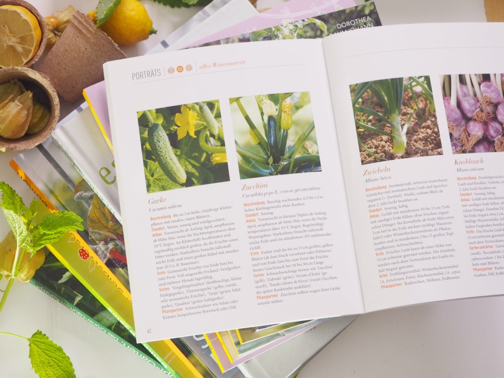 Kosmos Verlag Balkonernte