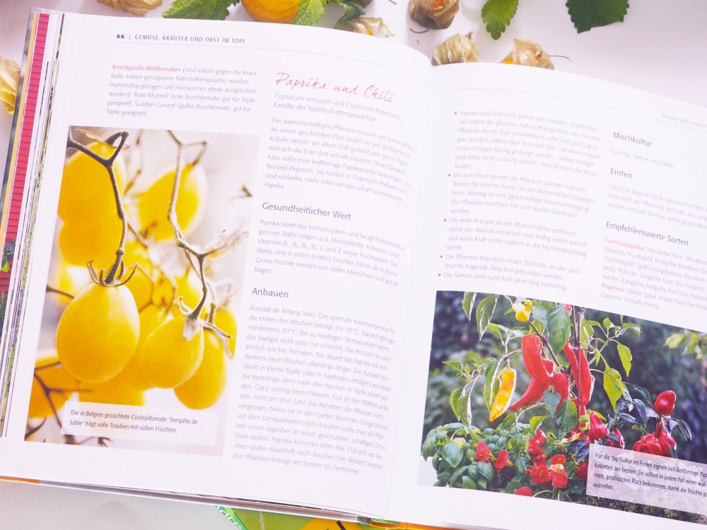 blv Der Selbstversorgerbalkon