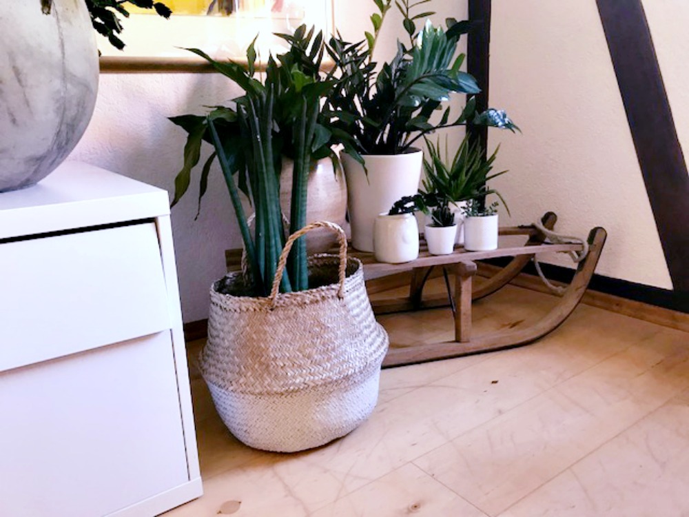 Blumendeko mit Schlitten