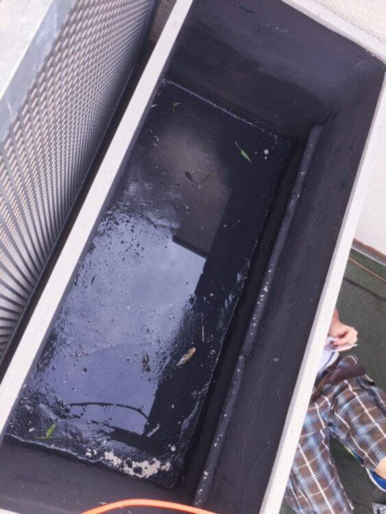 eigenes Gemüse vom Balkon