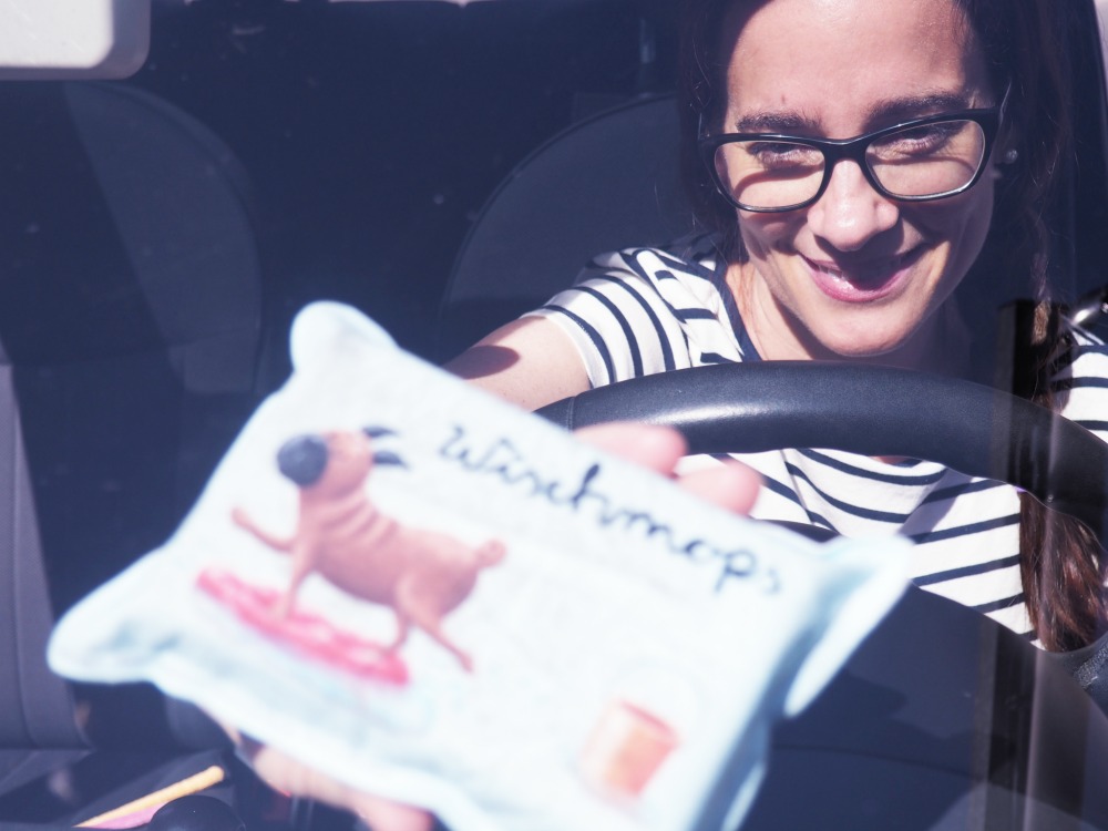 Checkliste Auto putzen