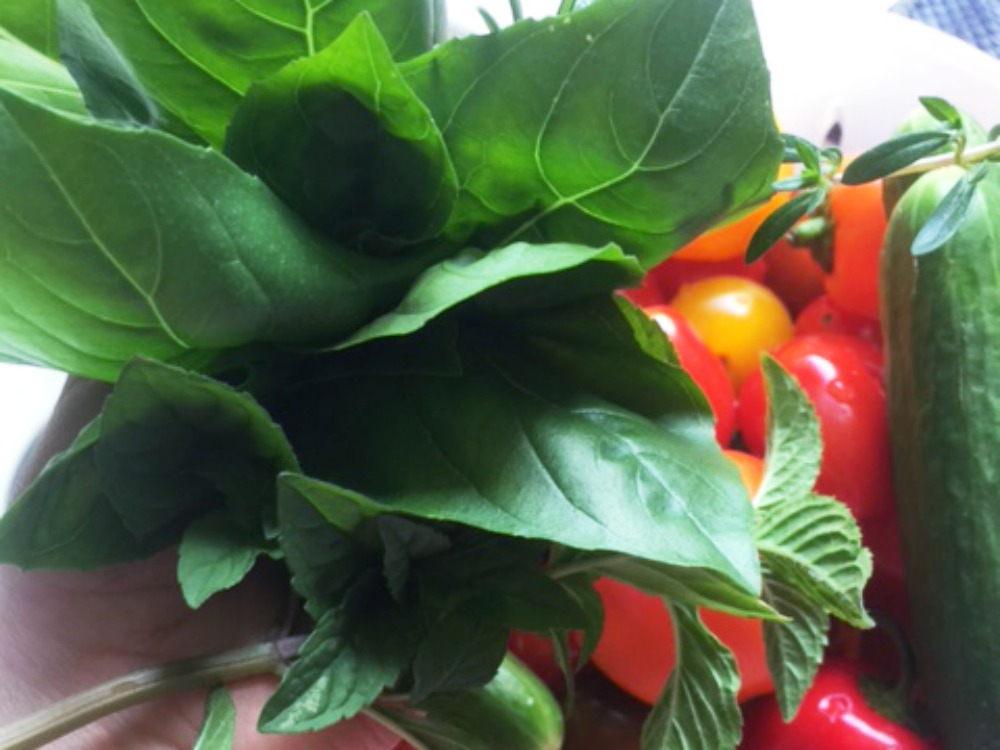 eigenes Gemüse vom Balkon