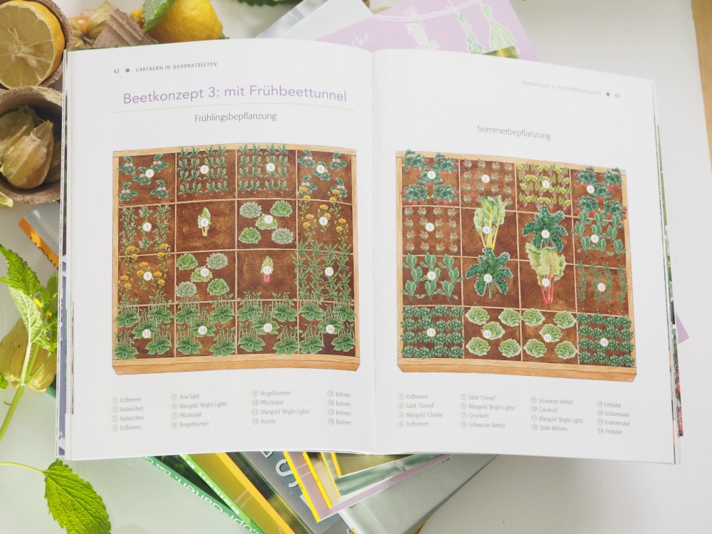 Gemüse auf dem Balkon