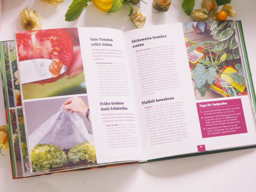 Gemüse auf dem Balkon