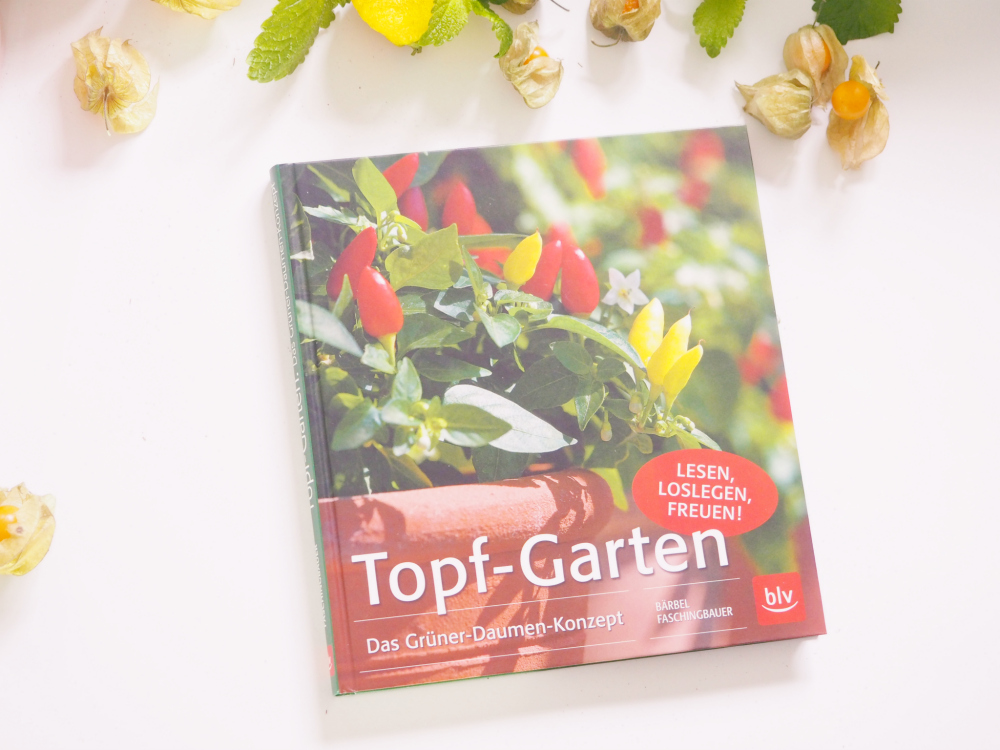 Gemüse auf dem Balkon