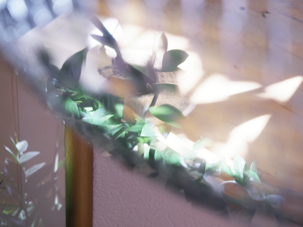 Schlitten und Discokugel