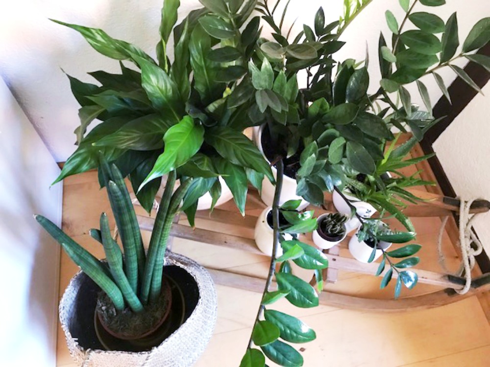 Schlitten und Discokugel