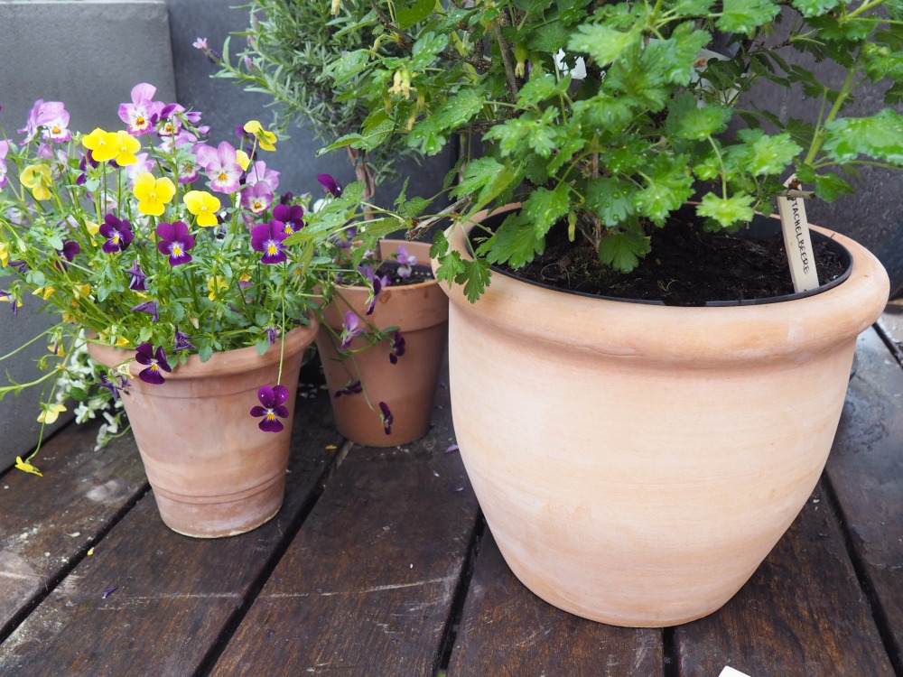 Der Balkon wird sommerfein – Bestandsaufnahme und die Frage: Wie reinigt man Pflanzkübel?