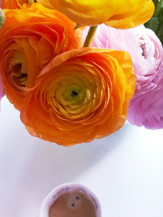 Wie halten Schnittblumen länger