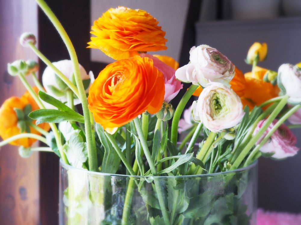 Wie halten Schnittblumen länger