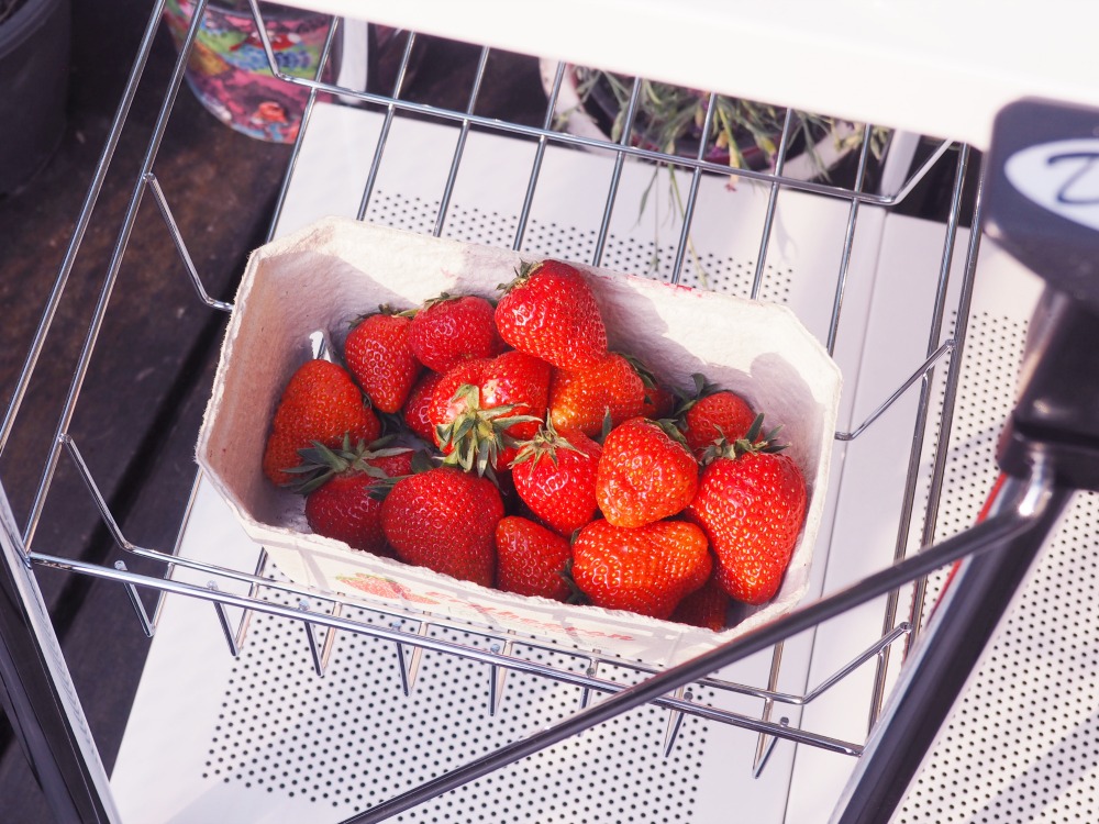 Wenko Dinett Servierwagen