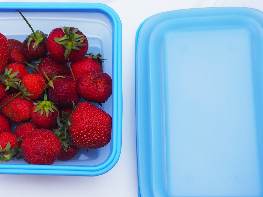 Wenko Reise Helfer Kofferpacken