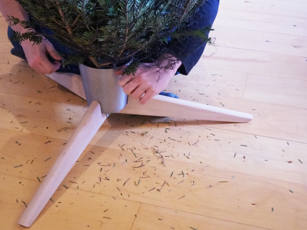 Weihnachtsbaum haltbar machen