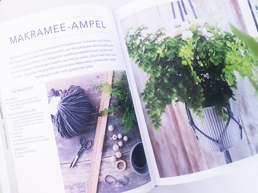 Alles Ueber Zimmerpflanzen Buch