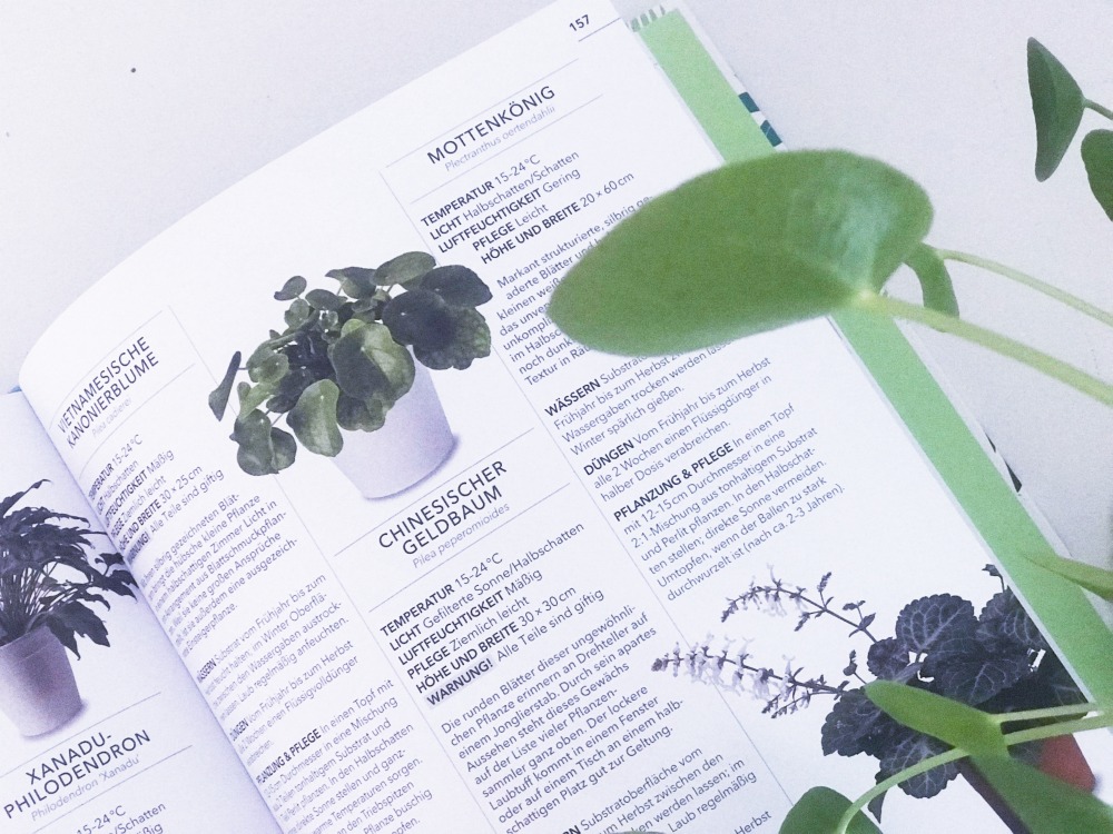 Alles Ueber Zimmerpflanzen Buch 