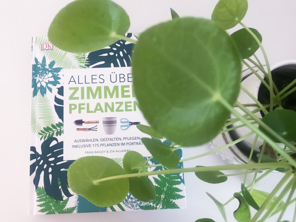 Alles Ueber Zimmerpflanzen Buch