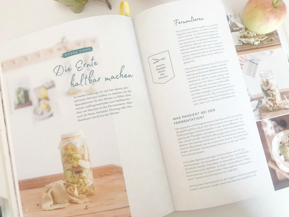 my little green kitchen Rezension