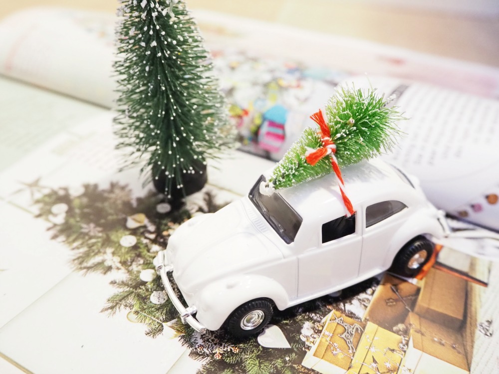 Wie kann man verhindern, dass der Weihnachtsbaum ein nervtötender Nadelfreak wird? Wie bleibt der Weihnachtsbaum haltbar?