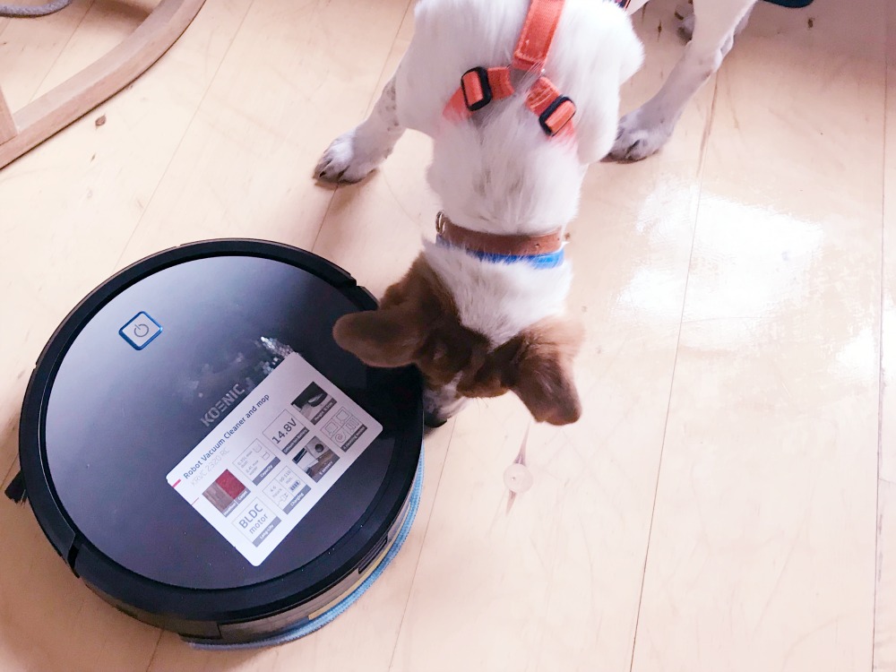 KOENIC KRVC 2320 RC Staubwischroboter