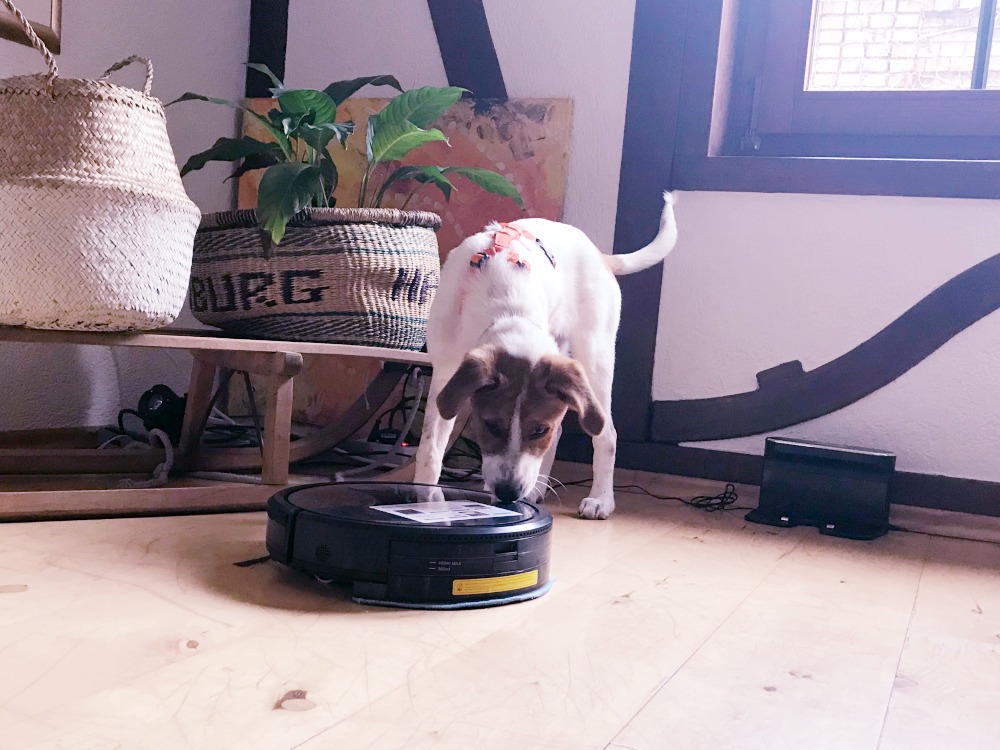 KOENIC KRVC 2320 RC Staubwischroboter