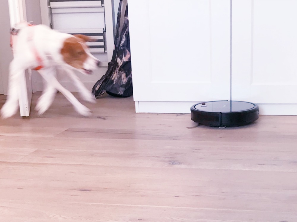 KOENIC Saug-Wisch-Roboter