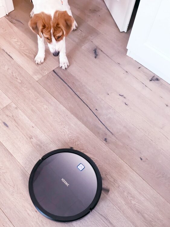 KOENIC Saug-Wisch-Roboter