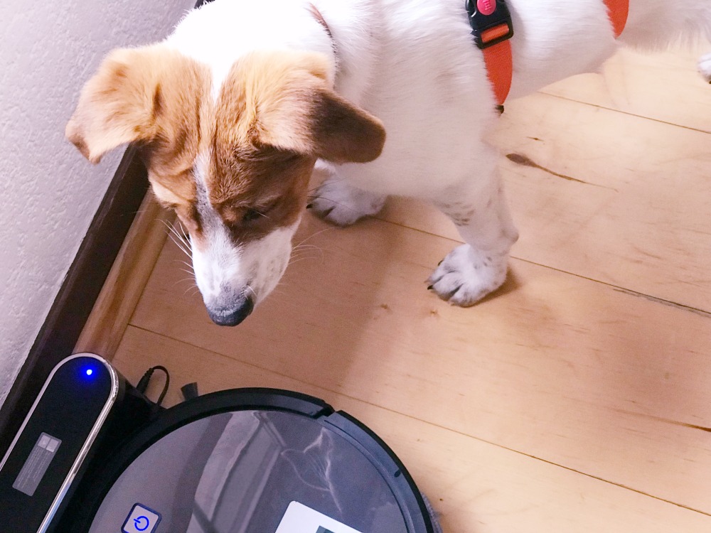 KOENIC KRVC 2320 RC Staubwischroboter