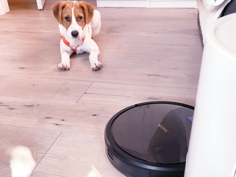 KOENIC Saug-Wisch-Roboter