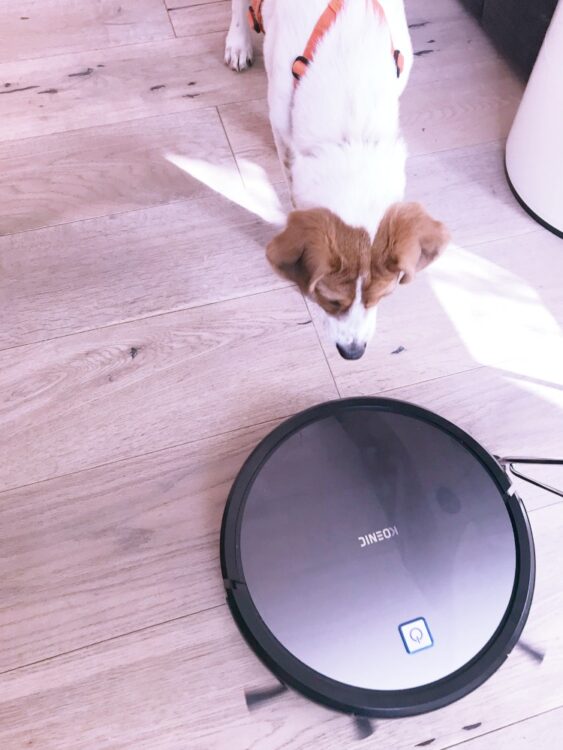 KOENIC Saug-Wisch-Roboter