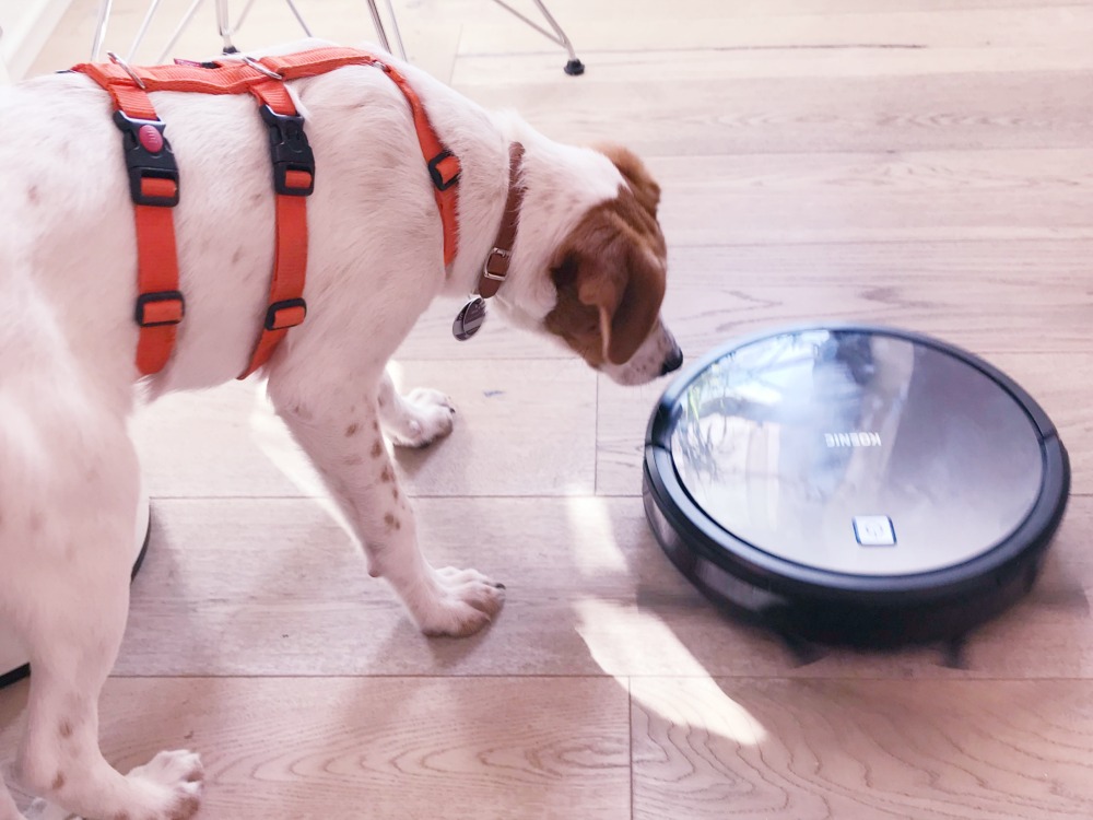 KOENIC Saug-Wisch-Roboter