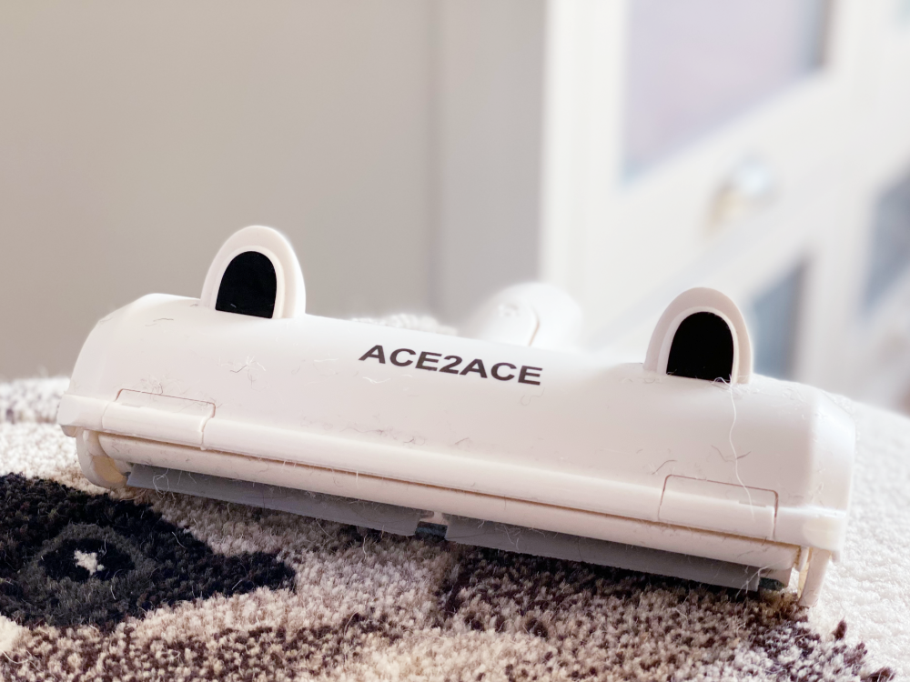 Hundehaare entfernen