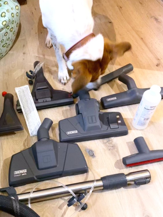 THOMAS AQUA+ MULTI CLEAN Frieda