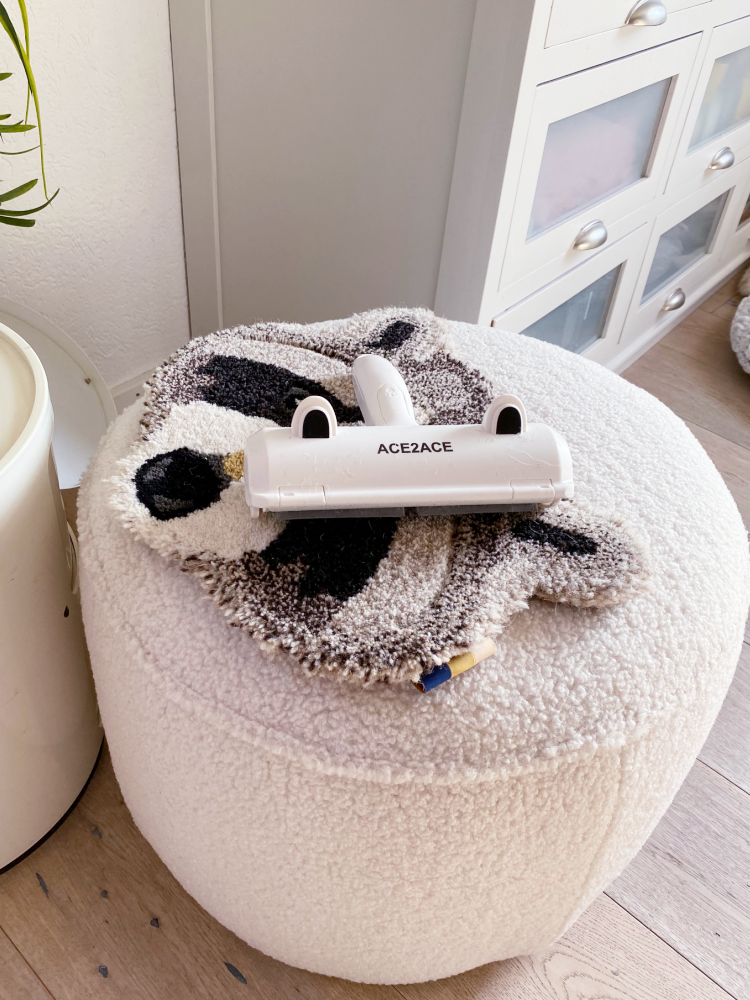 Hundehaare entfernen