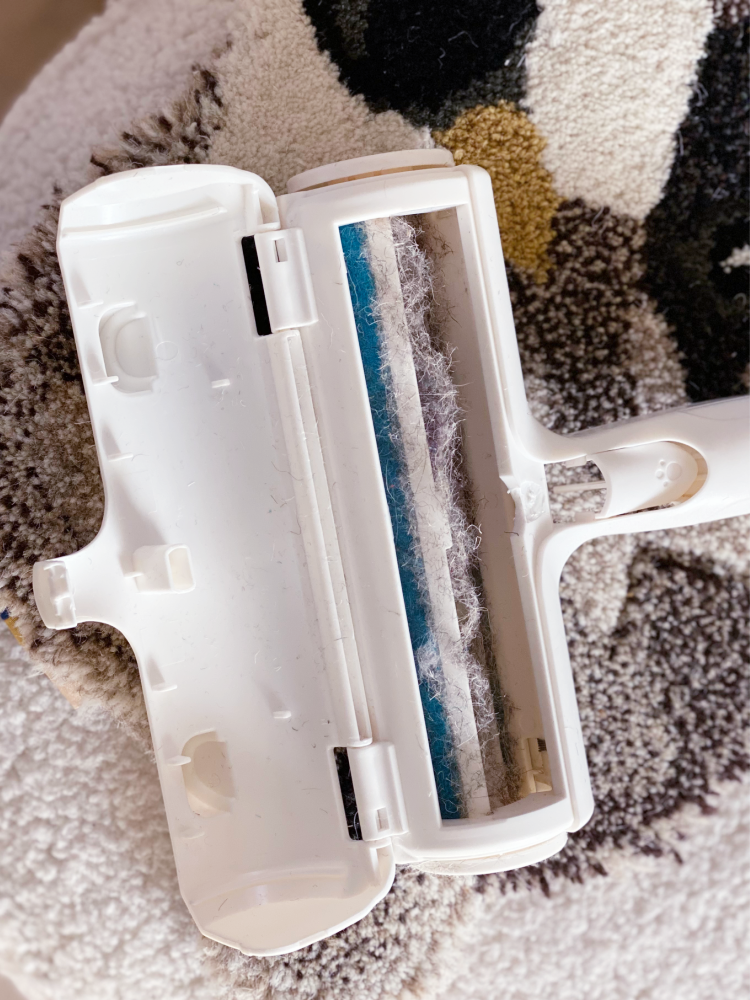 Hundehaare entfernen