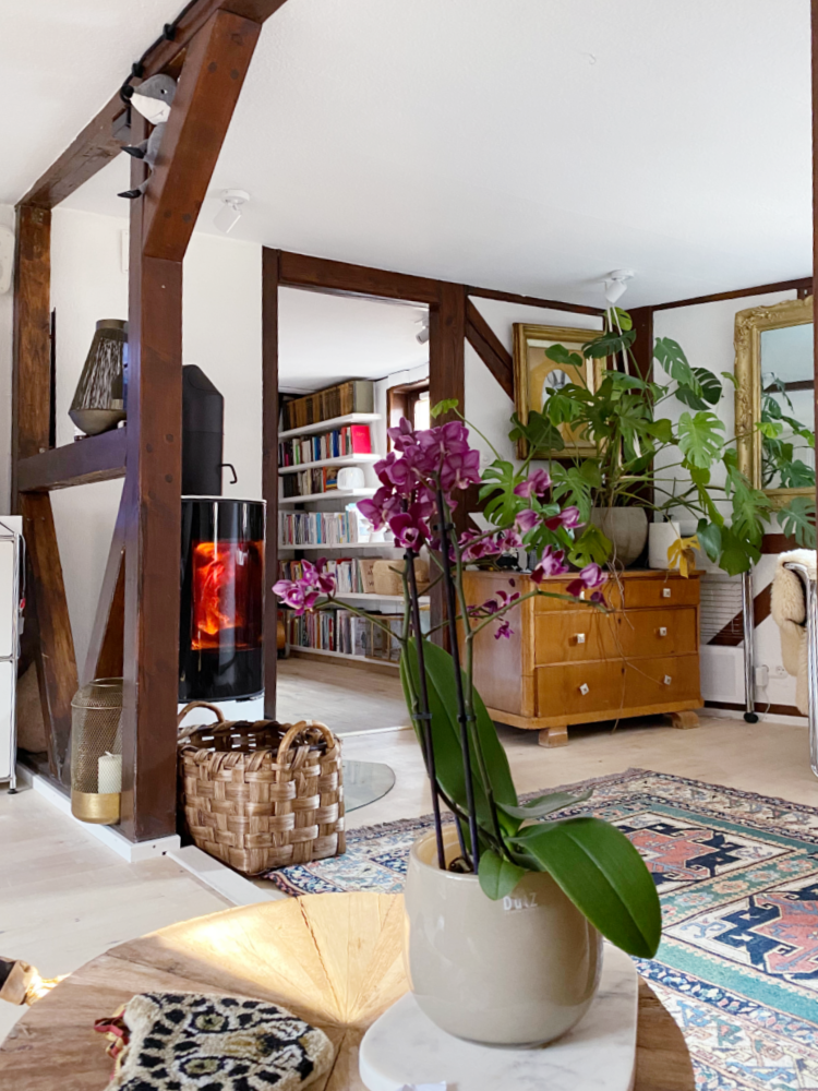 Fünf wichtige Fragen, die man sich beim Ofenkauf stellen sollte