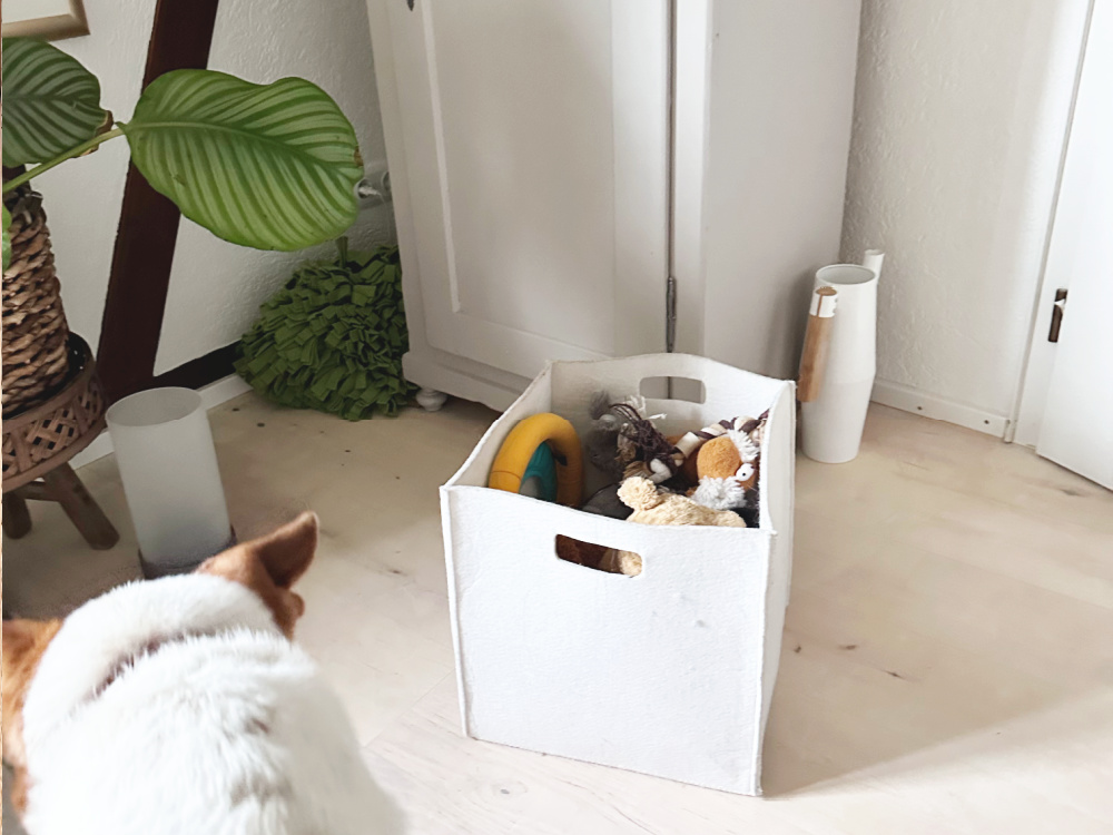 Hundespielsachen organisieren