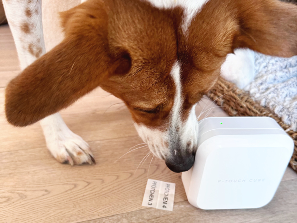 Hundesachen organisieren