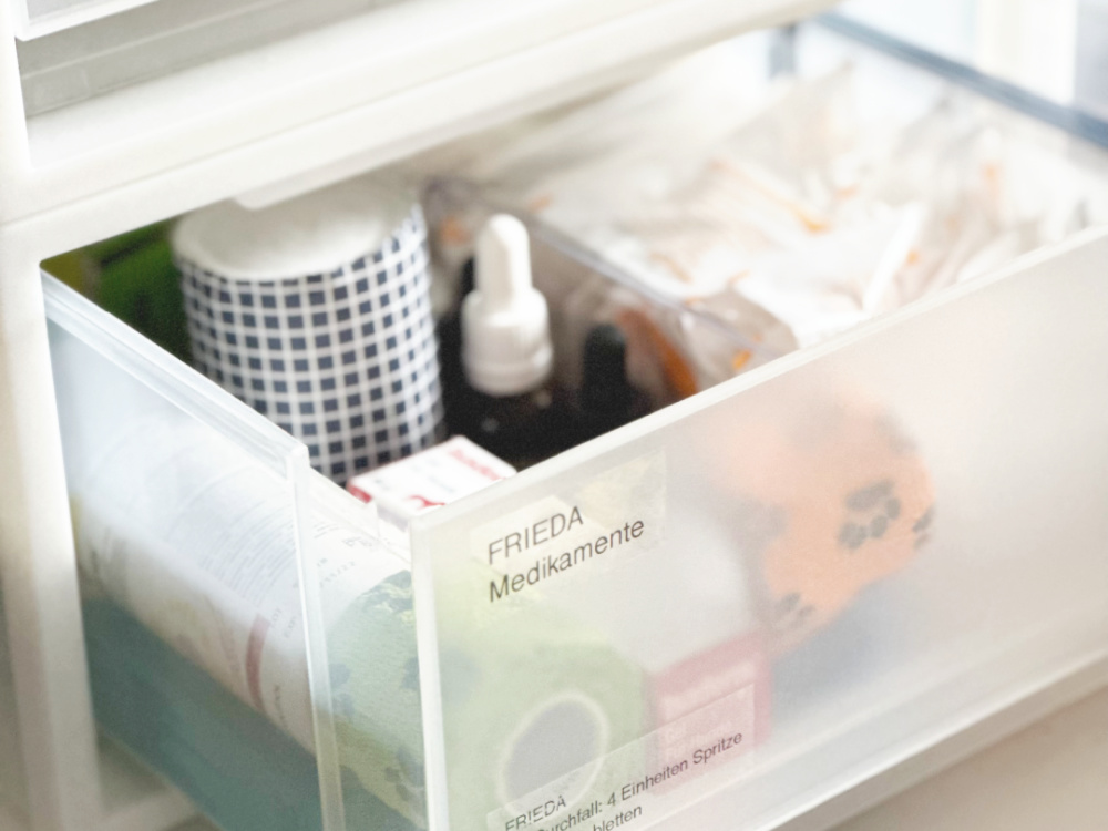 Hundesachen organisieren