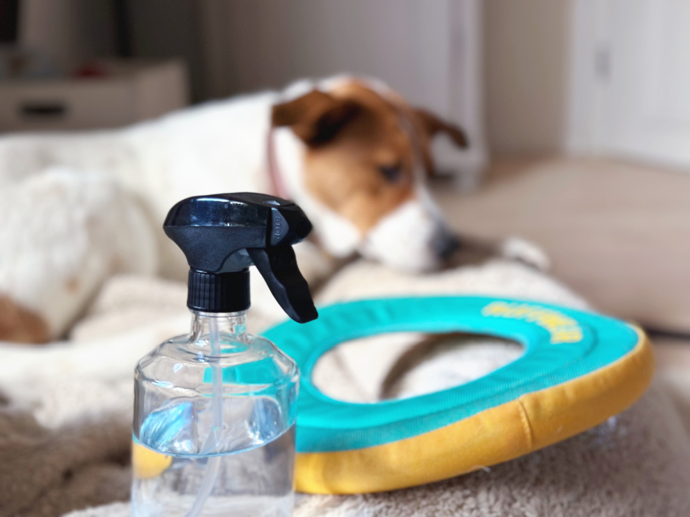 Mit Essigessenz von Surig alles putzen