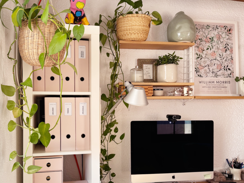 Feng Shui Buero Pflanzen