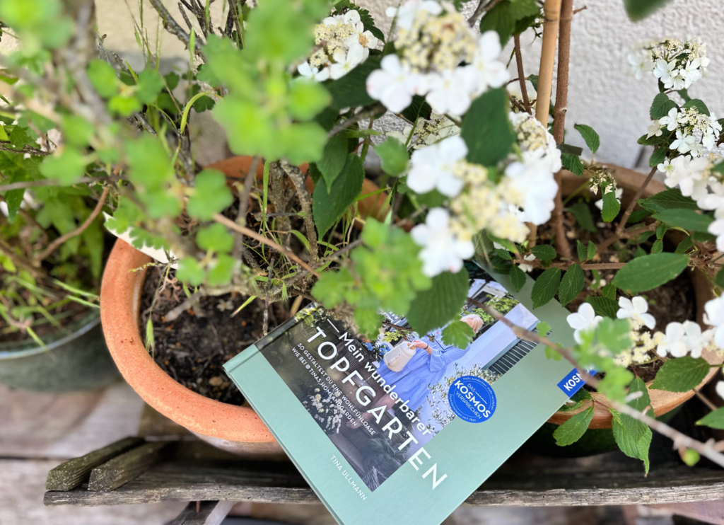 Mein wunderbarer Topfgarten 